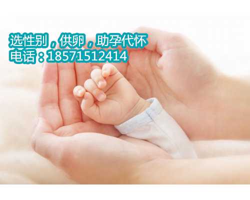 北京供卵试管成功率高不高,46岁月经正常怀孕率高吗