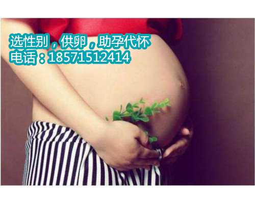 北京代怀孕代孕网,2泰国试管婴儿医院如何预约