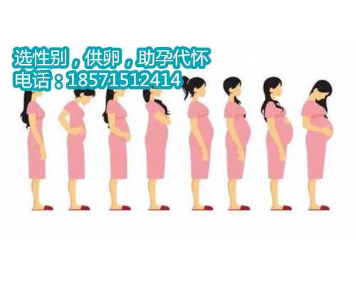 北京代怀是自己孩子嗎,孕期远离痔疮的4个妙招