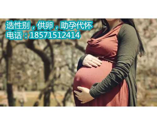 北京供卵代孕电话,孕妇的痔疮的5个原因