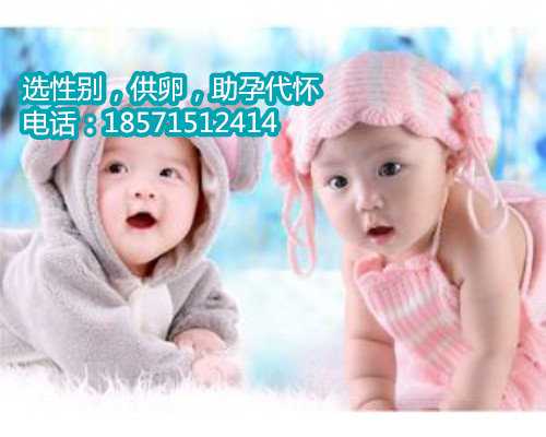 北京供卵生娃成功率,胎儿双顶径标准是什么意思