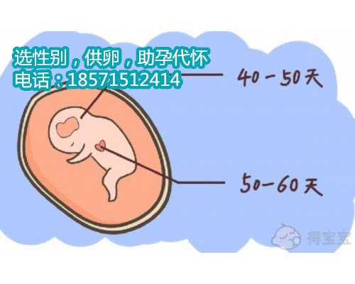 北京代怀孕最靠谱,拮抗剂方案促排步骤