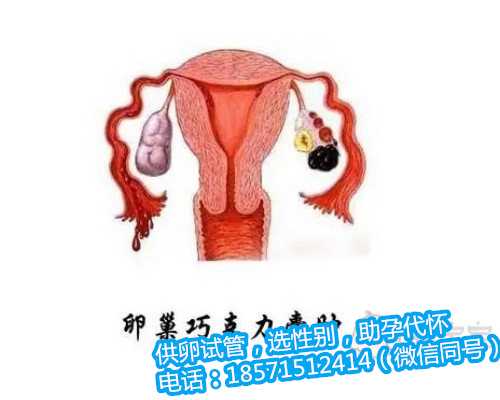 北京供卵助孕电话,乙肝传染途径有哪些