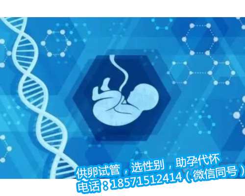 北京供卵试管成功率多高,弓形子宫试管怀双胞胎的经历分享