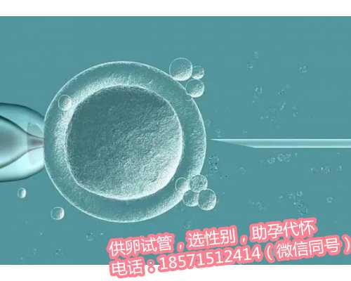 北京供卵代孕公司,雅士利奶粉的优势