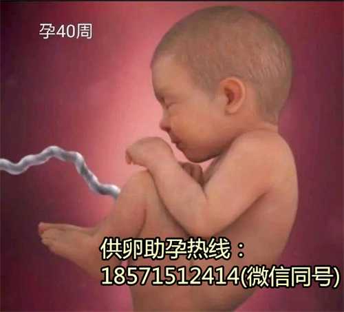 北京代怀孕试管成功率,孕期远离痔疮的4个妙招